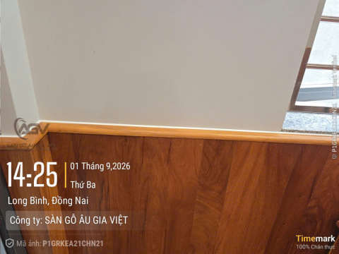 Sàn gỗ gõ đỏ + lamri gõ đỏ- Trần teck Lào thi công biên hòa đồng Nai